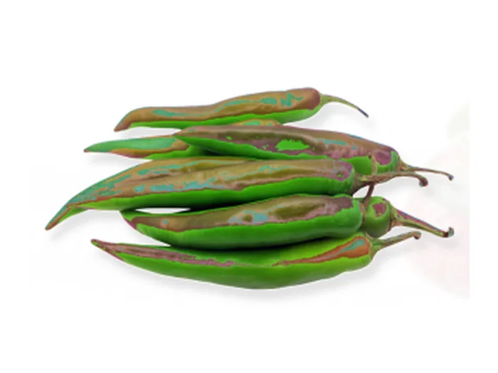 G4 Green Chilli